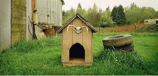 前《使命召唤》制作人忧心系列在微软旗下的未来表现